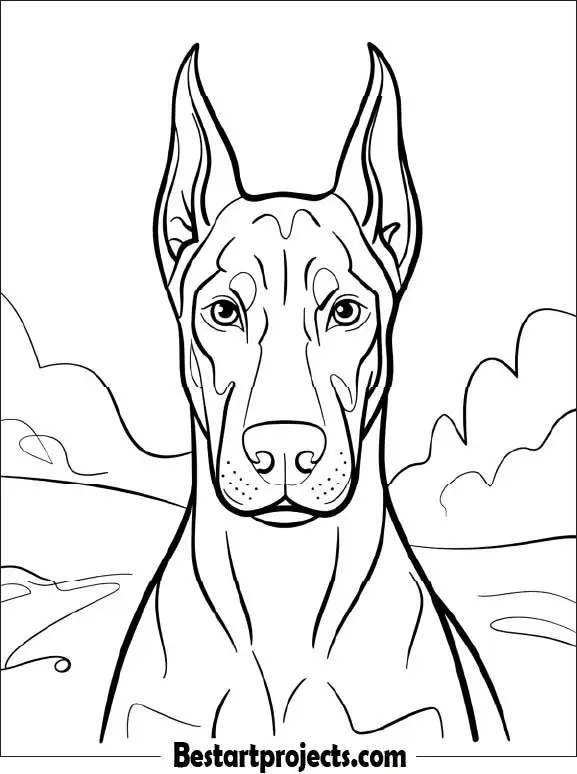 Close Up Of Alert Doberman