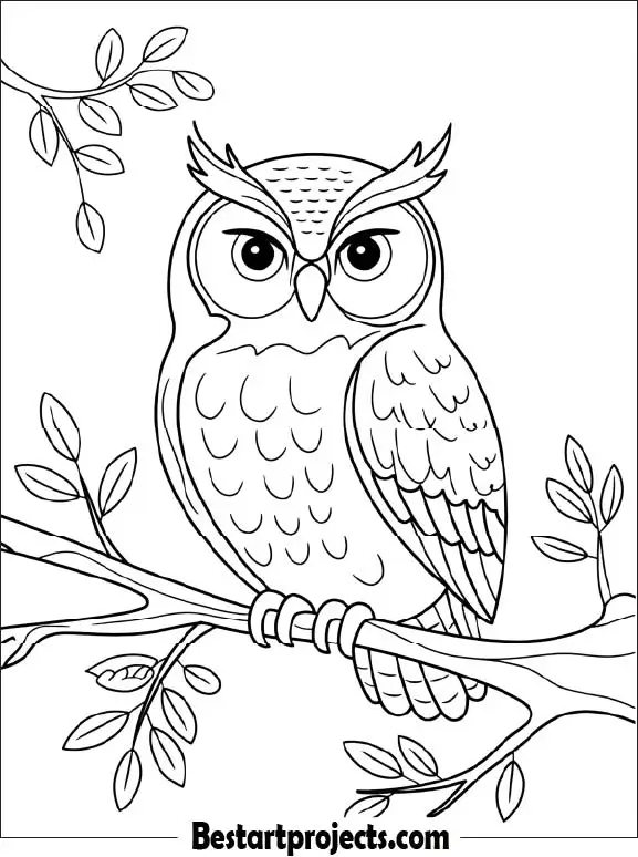 6. Simple Owl Coloring page for Free