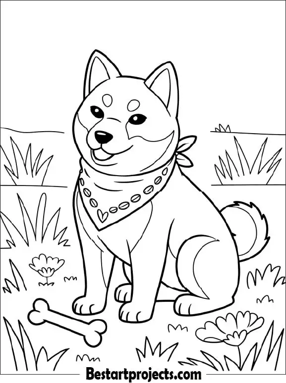 Shiba Inu