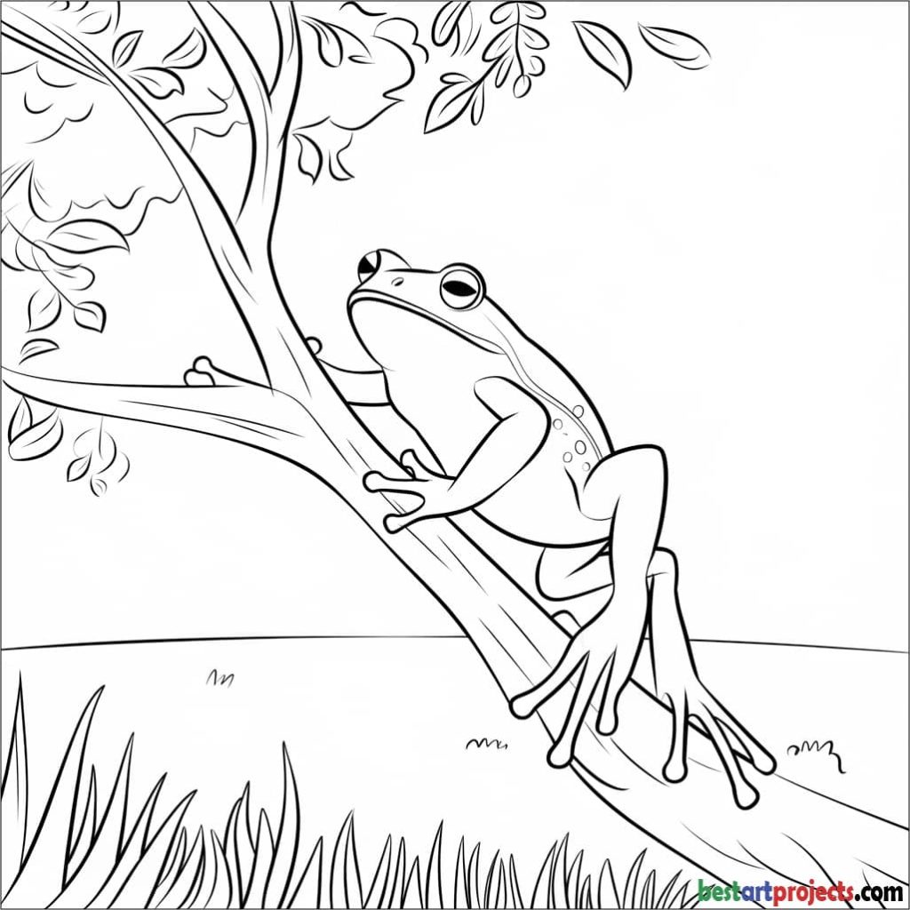 Tree Frog Coloring Page for Kids