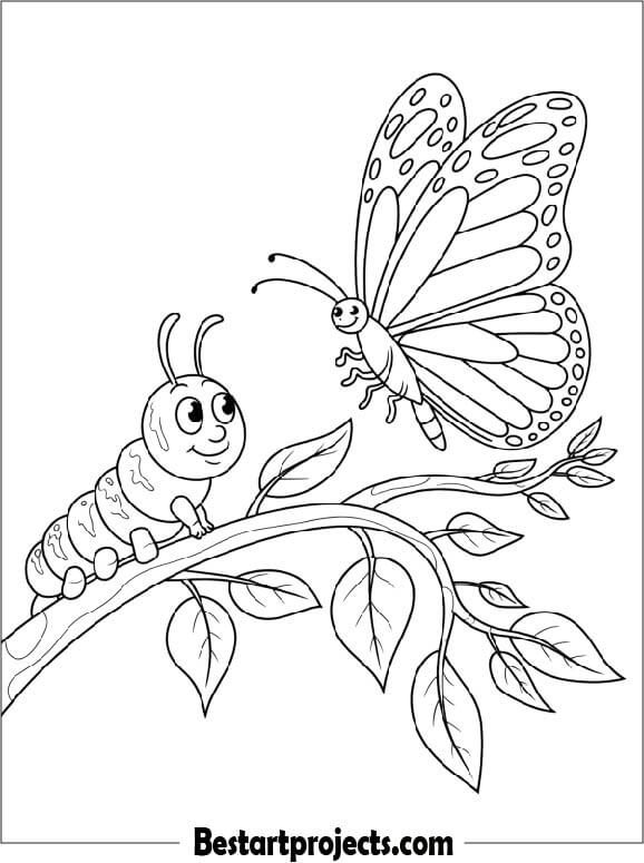 Butterfly and a Caterpillar on a Branch