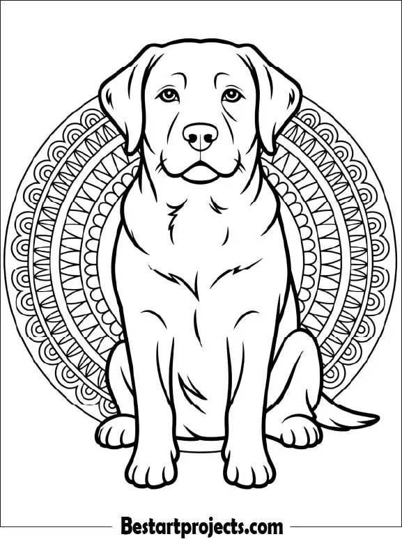 Labrador Retriever Dog Mandala Design