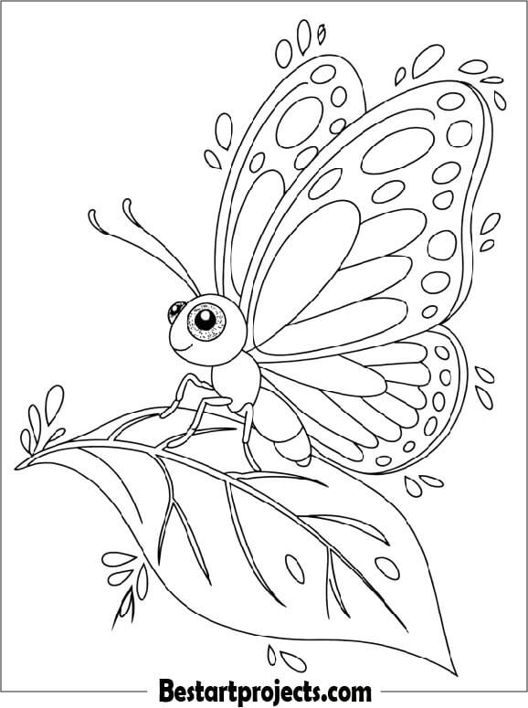 Baby Butterfly with Sparkly Eyes