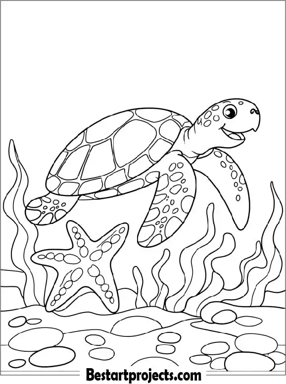 8.Turtle Playing with a Starfish
