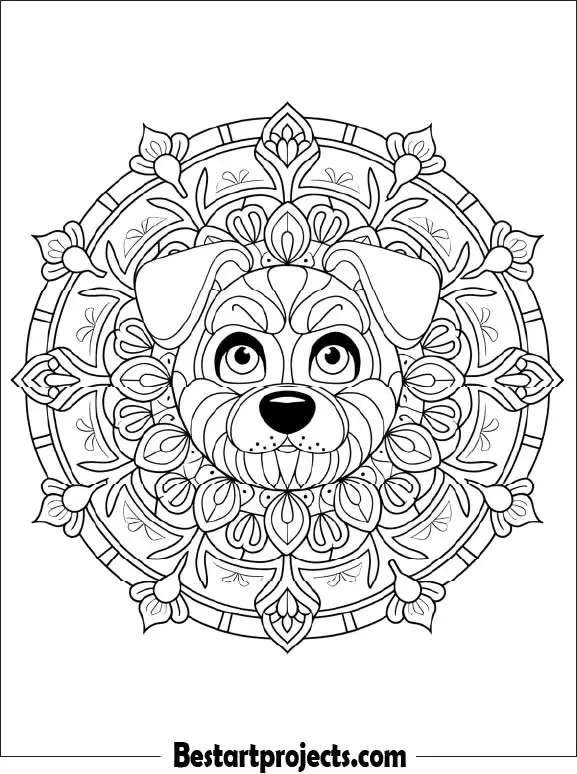  Dog Face With Mandala Design
