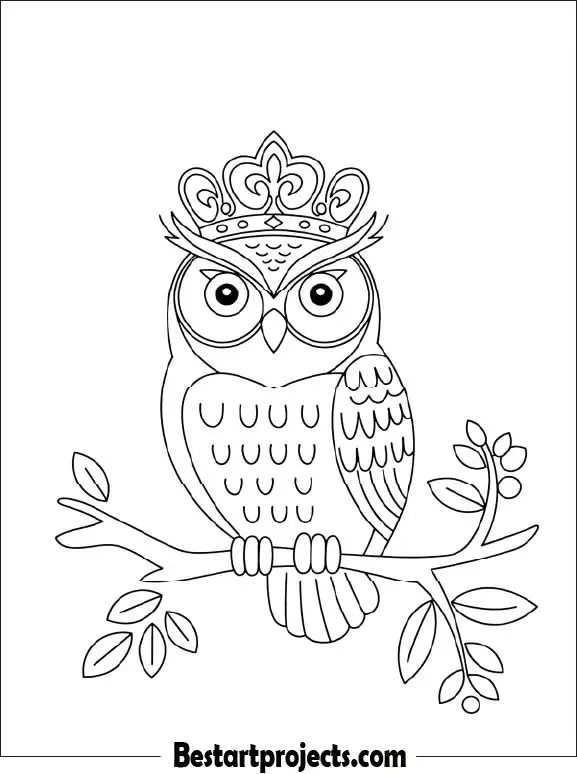 9. Owl with a Crown