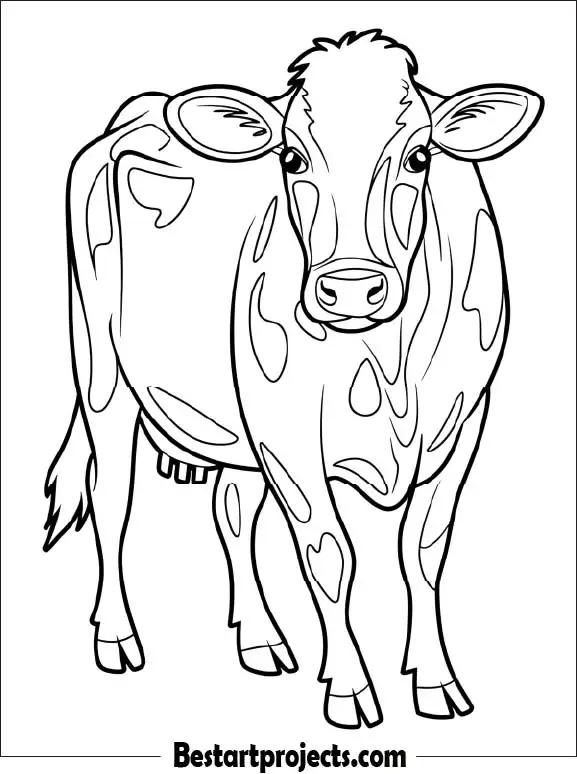 9. Simple Cow Outline