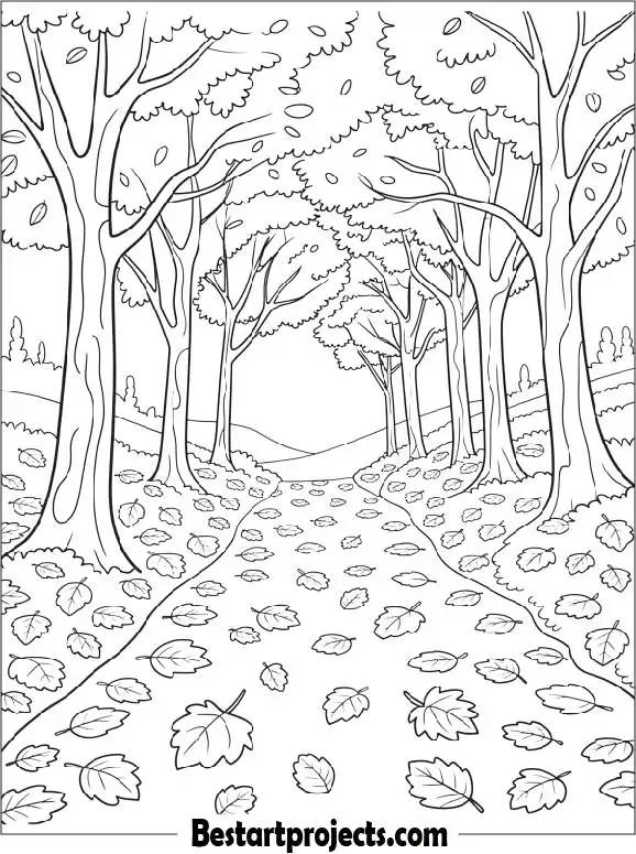 Autumn Forest Path Covered With Fallen Leaves to Color