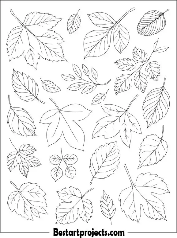 Autumn Leaves Coloring Page for Kids