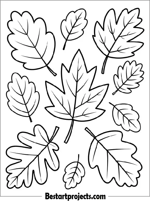 Autumn Leaves Coloring Page