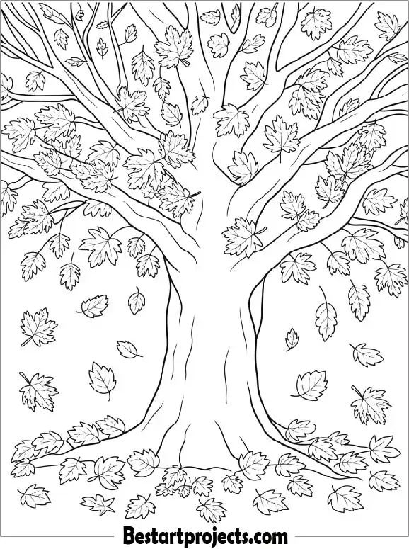 Autumn Leaves Falling From a Large Tree to Color