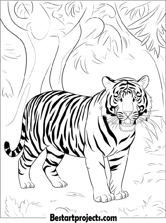 Bengal Tiger Standing in Jungle