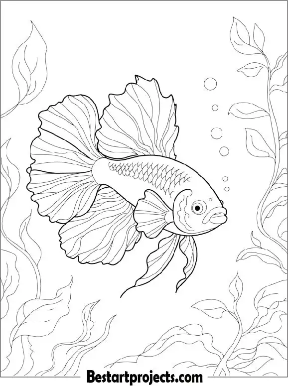 Betta Fish Coloring Sheet for Kids