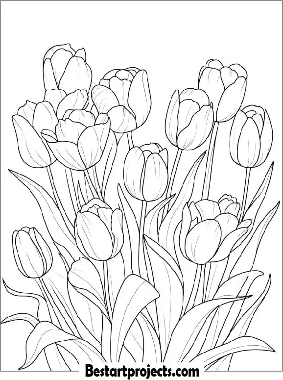 Blooming Spring Tulips Coloring Page
