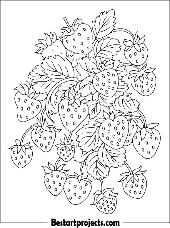 Bunch of Strawberries Coloring Sheet