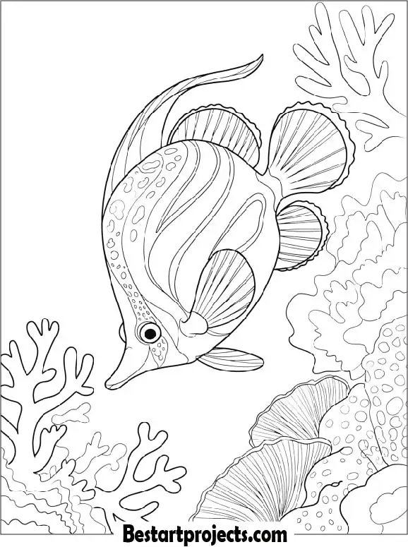 Butterfly Fish Coloring Page