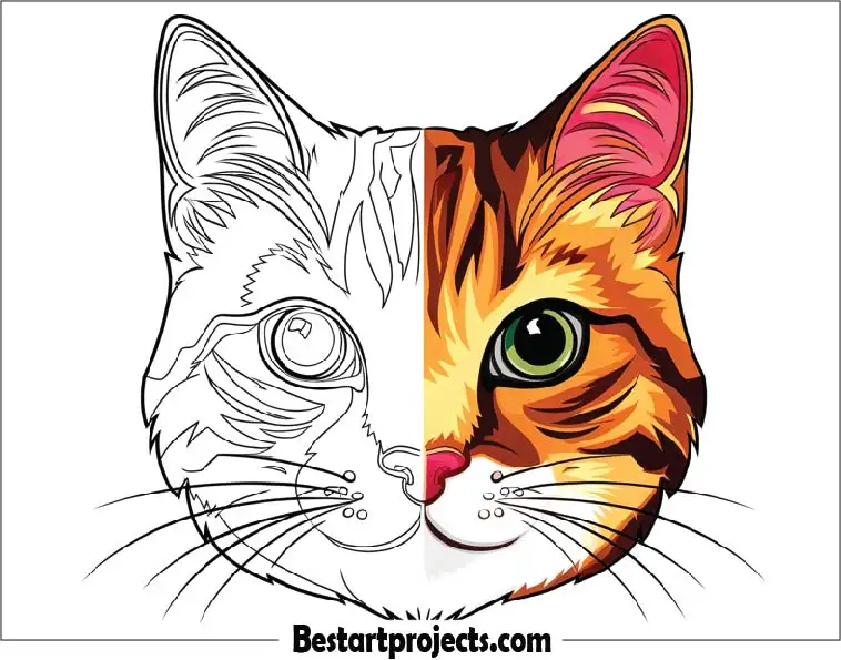 Cat Face Coloring Worksheet