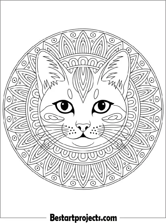 Cat Mandala Coloring Page for Kids