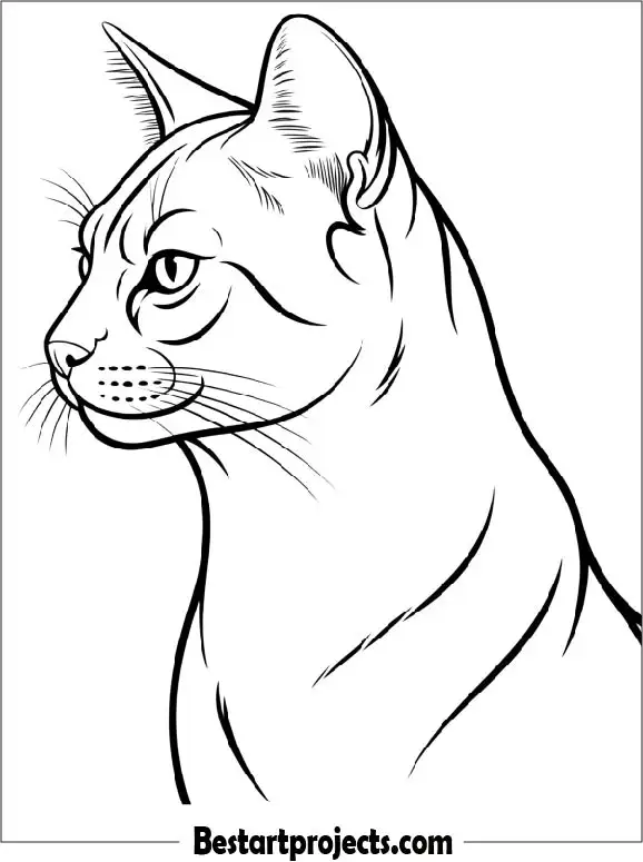 Cat Side Profile Coloring Page