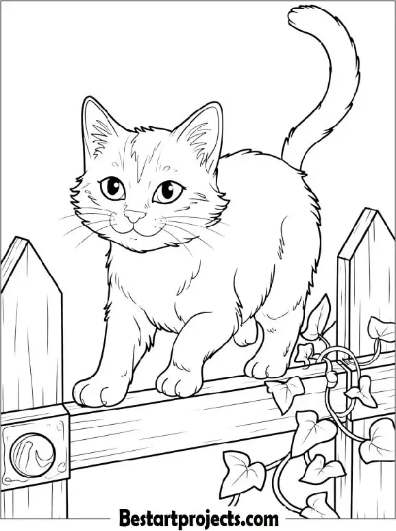Cat Walking on Garden Fence Coloring Sheet