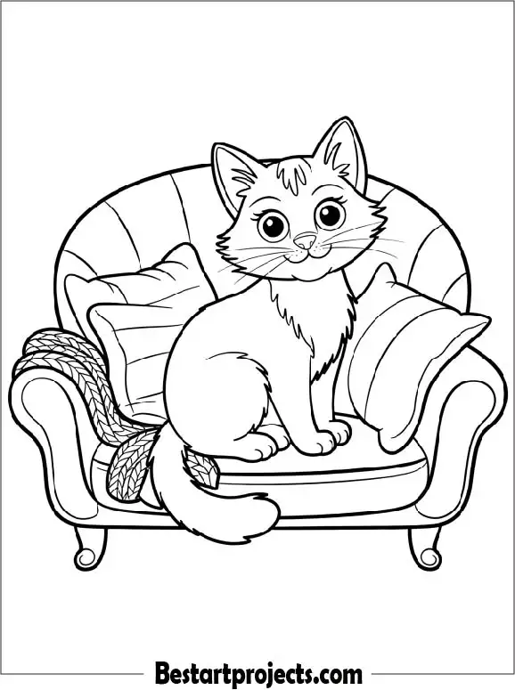 Curious Cat Sitting on a Sofa
