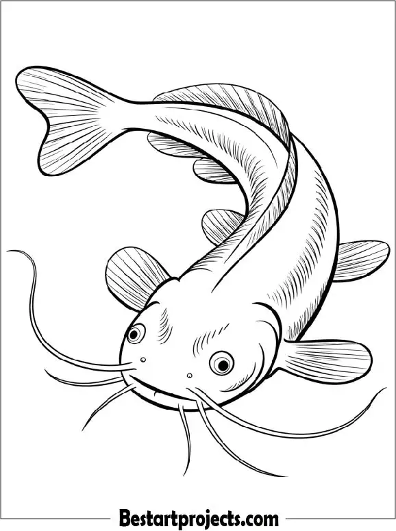 Cute Catfish Coloring Page