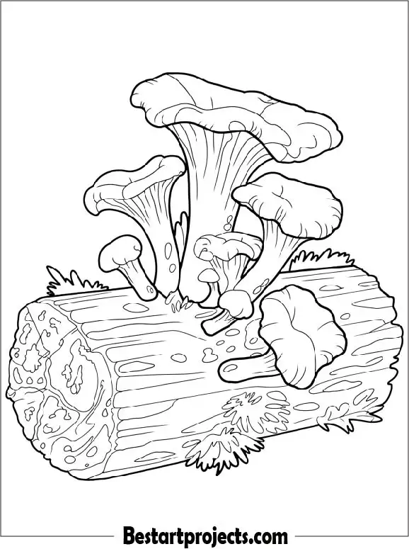 Detailed Mushroom Coloring Page For Adults