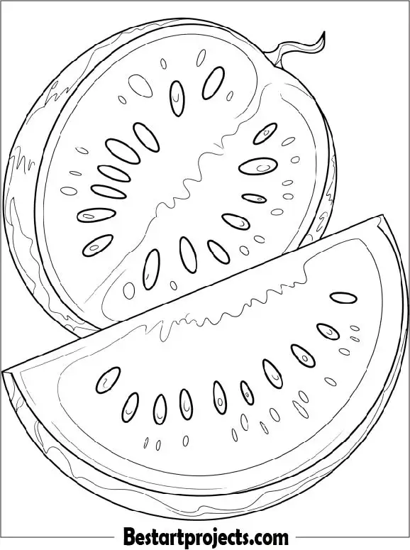 Easy Outline of Sliced Watermelon