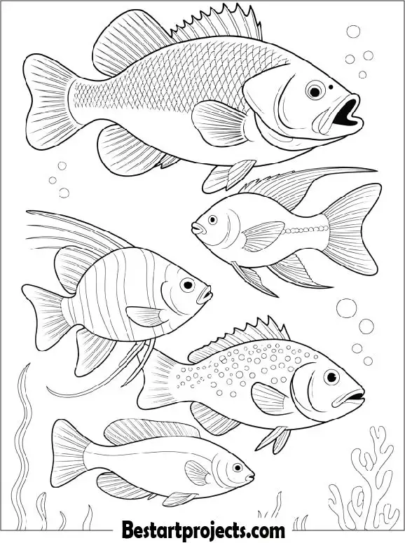 Fish Coloring Page