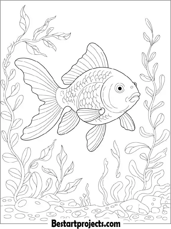 Gold Fish Coloring Page For Kids