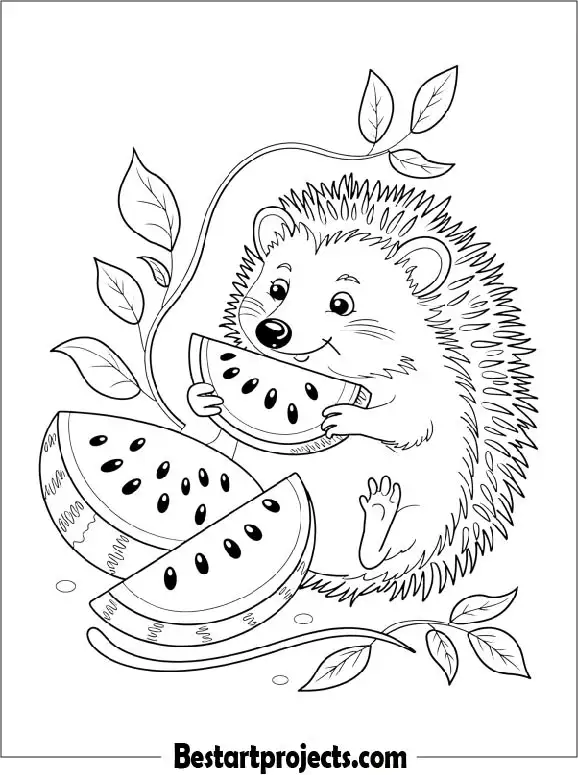 Hedgehog with Watermelon Coloring Page