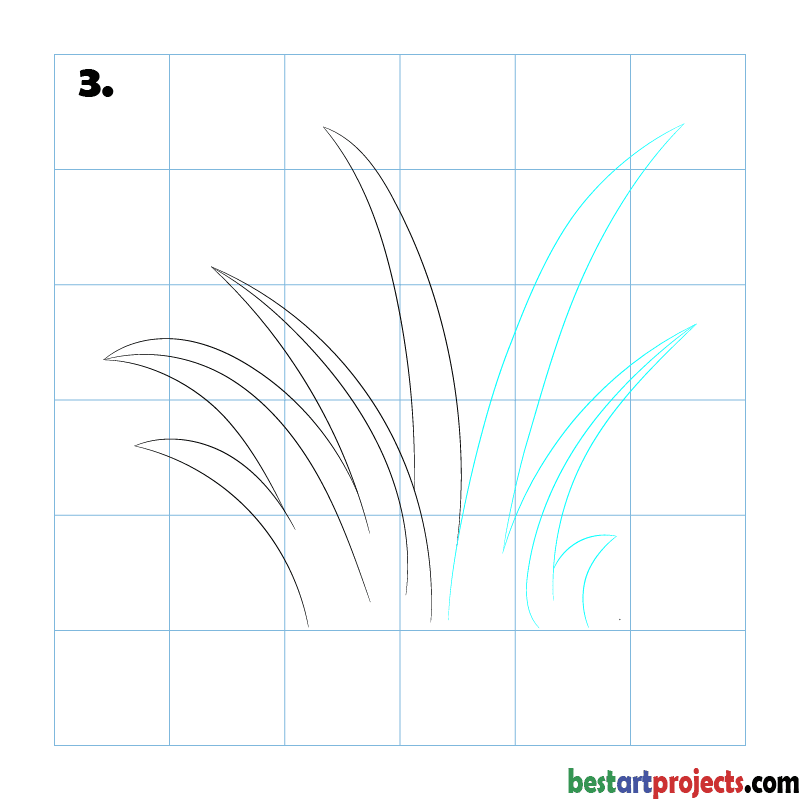 How to Draw Grass - Step 03