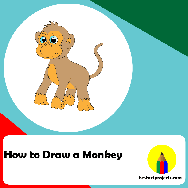 How to Draw a Monkey - Simple Drawing  Tutorial