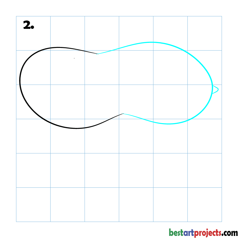 How to Draw a peanut  step - 2