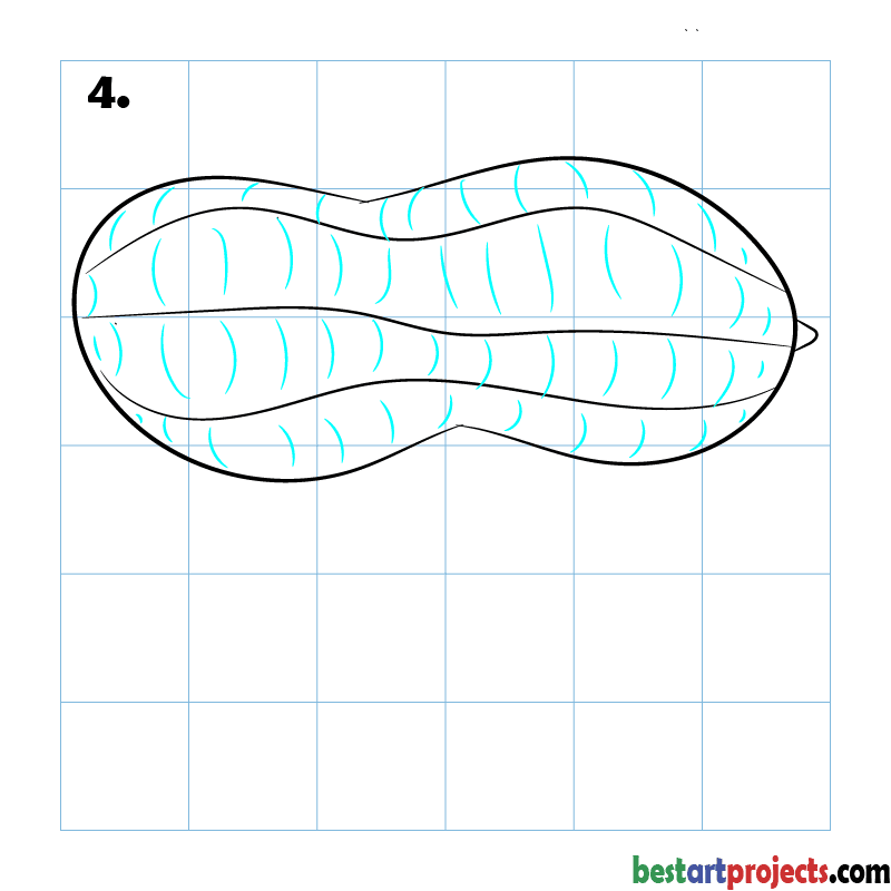 How to Draw a peanut  step - 4