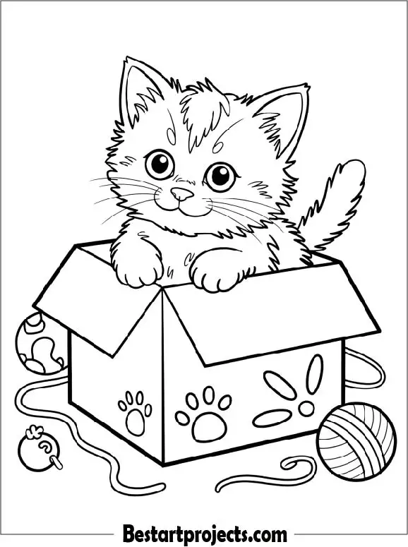 Kitten Peeking Out of a Box Coloring Page for Kids