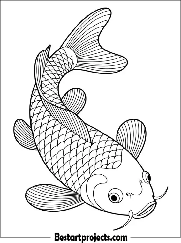 Koi Fish Coloring Page Free