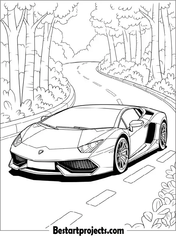 Lamborghini Driving Through a Forest Road To Color