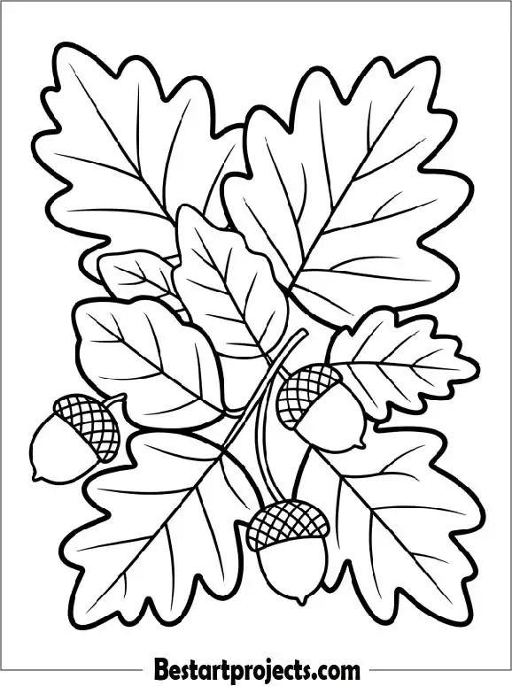Leaves and Acorns for Fall Coloring Sheet