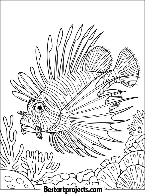 Lionfish Coloring Page