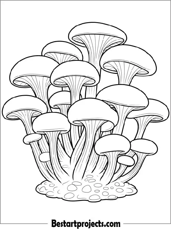 Mushroom Cluster Coloring Page