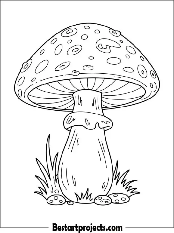 Mushroom Coloring Page