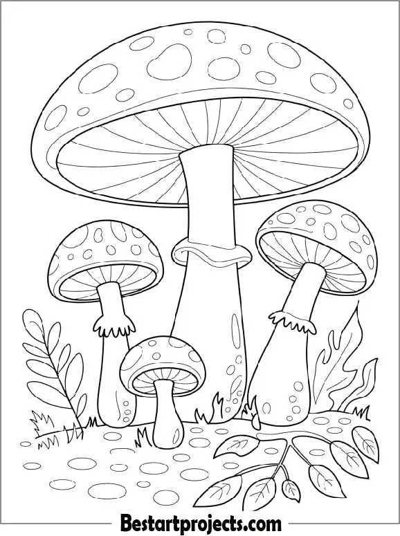 Mushrooms Forest Coloring Page for Kids
