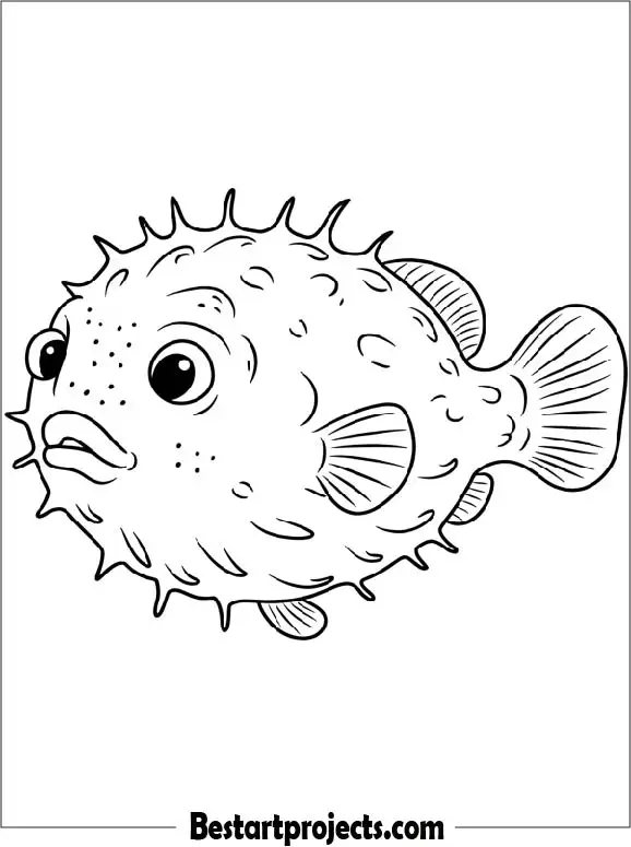 Puffer Fish Coloring Page for Kids