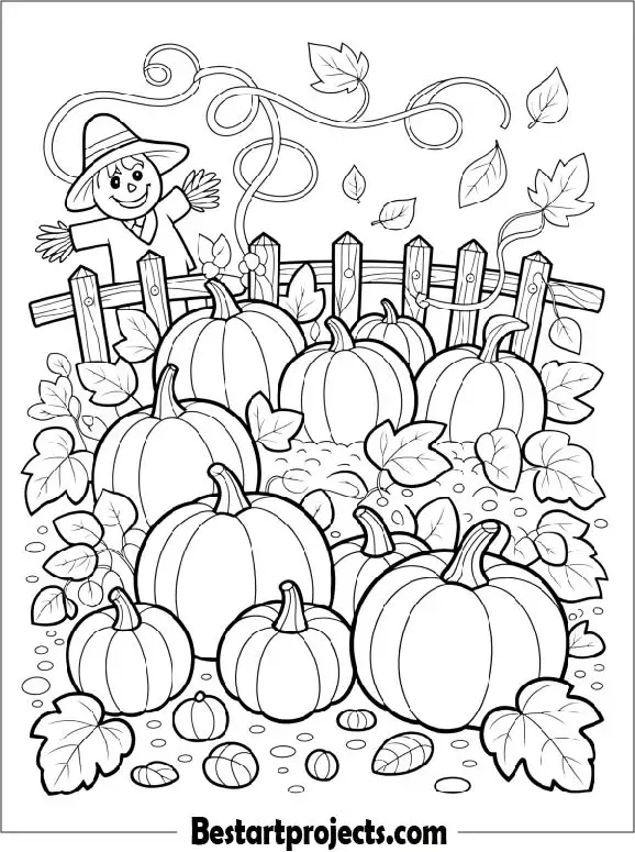 Pumpkin Patch on a Crisp Autumn Day to Color