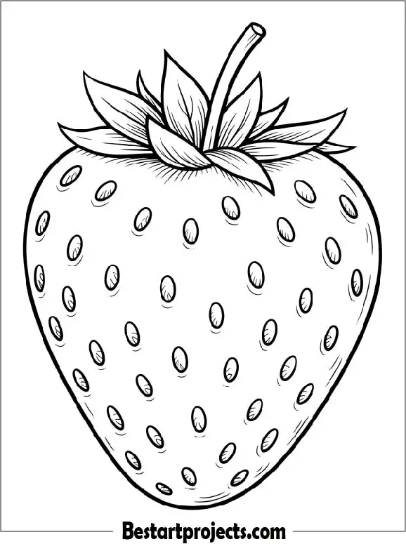 Realistic strawberry Coloring Page for Adults