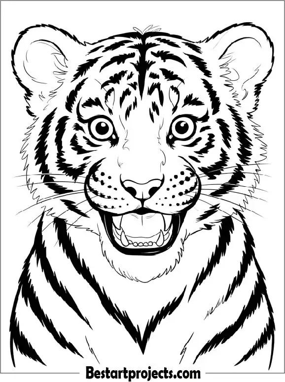 Roaring Tiger Cub Face