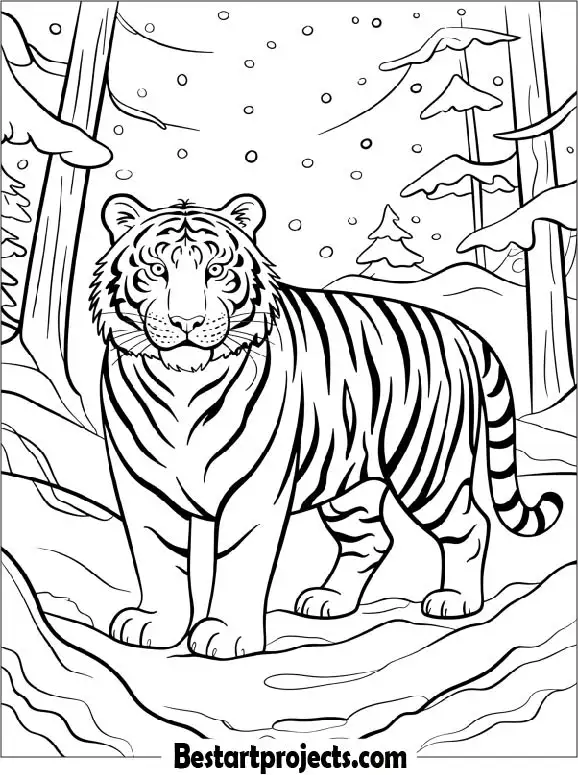 Siberian Tiger in Snowy Forest