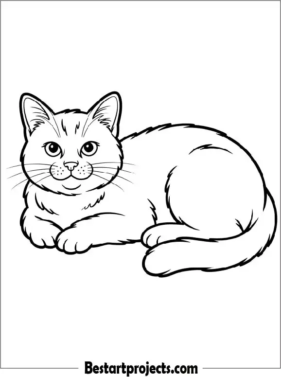 Simple Cat Outline