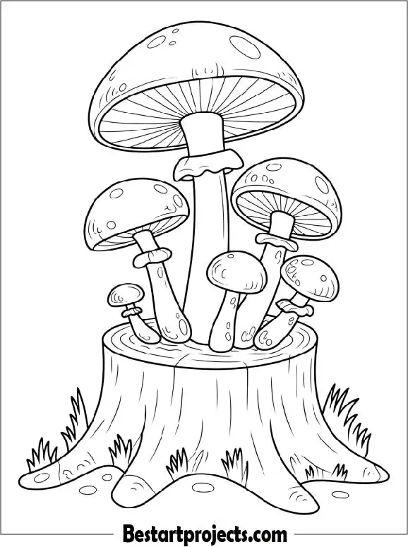 Stump Mushroom Coloring Page for Adults